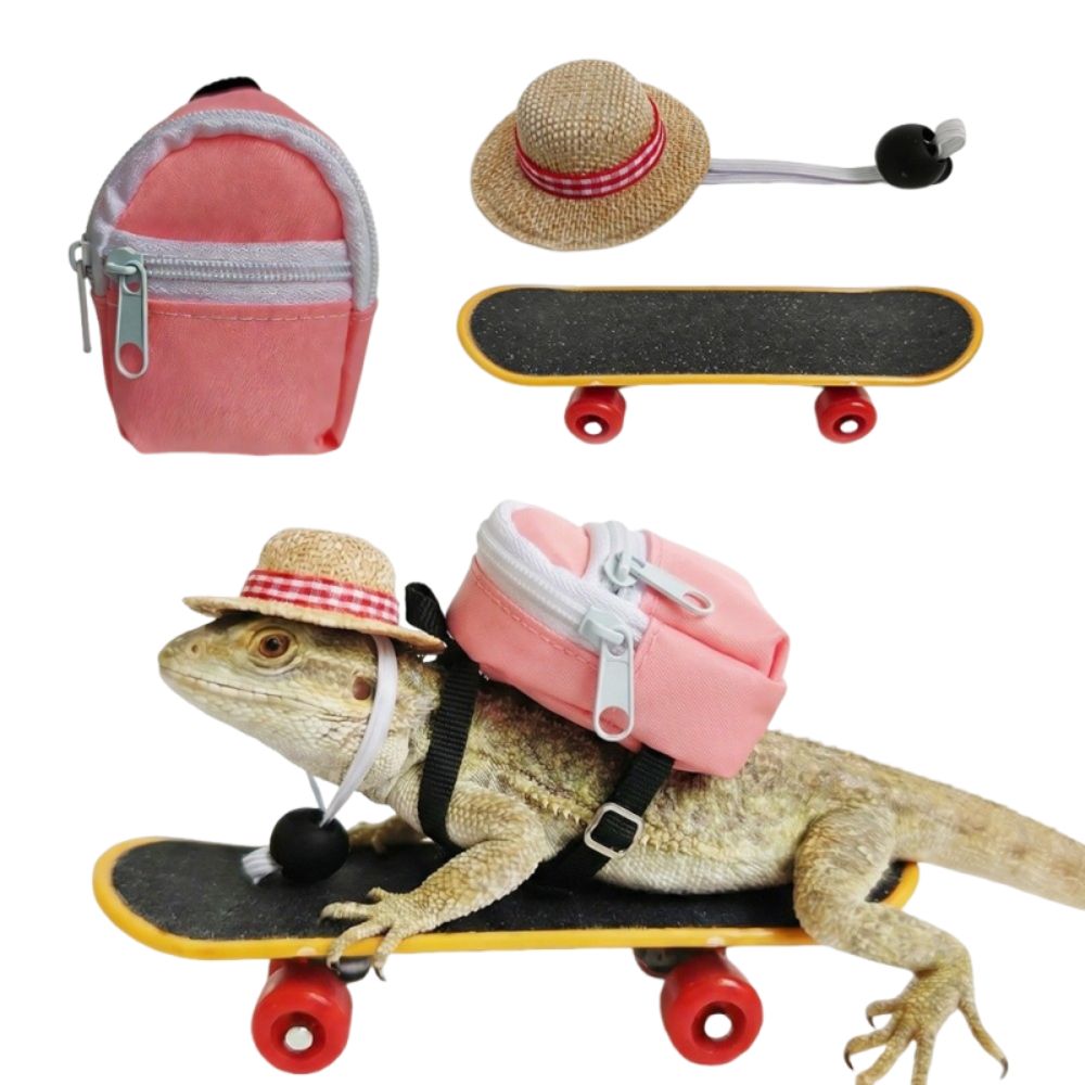 クリエイティブペットスケートボードおもちゃセットインタラクテ - Model Kit Lizard のレビューと価格