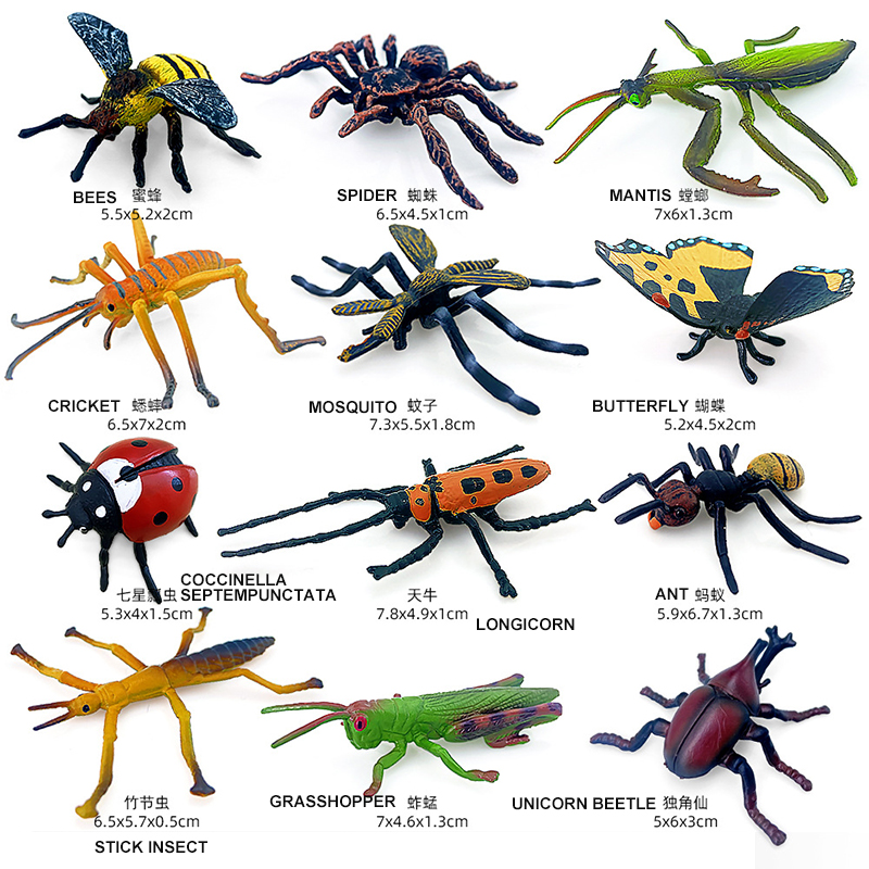 子供のための野生の昆虫の動物のセット,12個,蝶,サソリ,カ - Model Kit Lizard のレビューと価格
