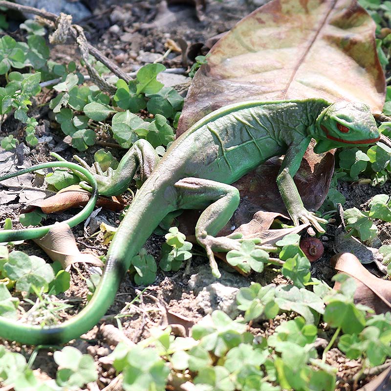 Oenux ファーム野生モデルシミュレーショントカゲコウモリ - Model Kit Lizard のレビューと価格