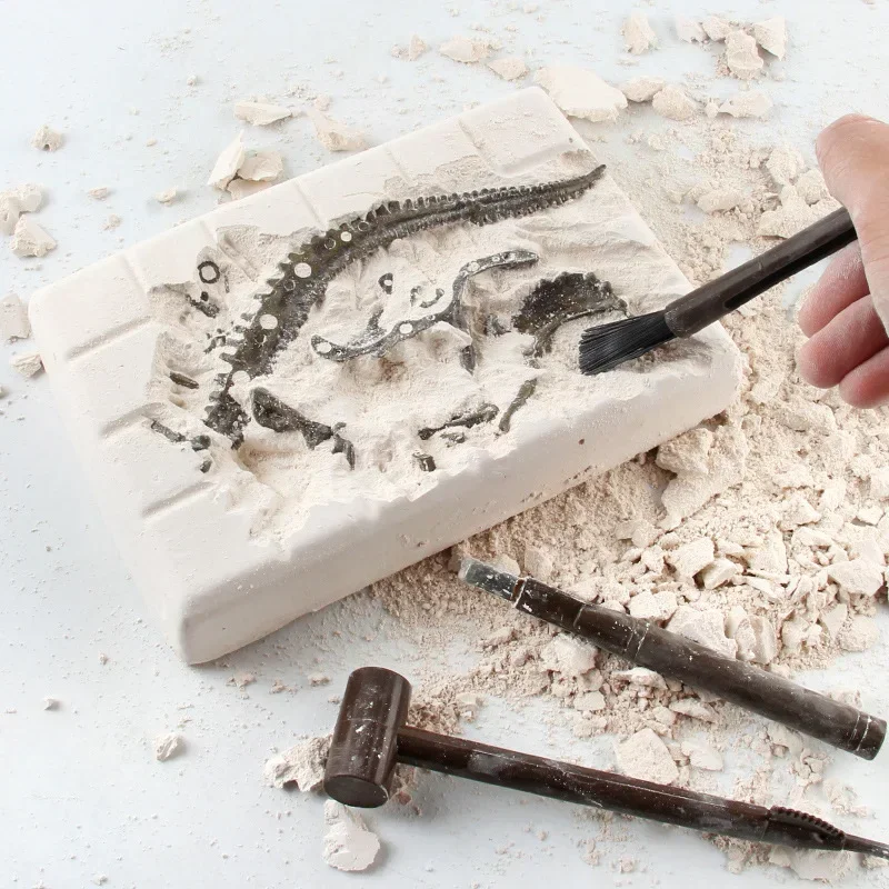 恐竜発掘化石考古学科学教育玩具 DIY 組み立てシミュレーシ - Model Kit Dinosaur のレビューと価格