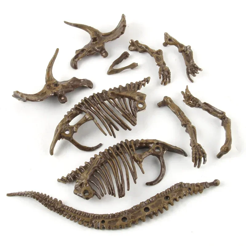 恐竜発掘化石考古学科学教育玩具 DIY 組み立てシミュレーシ - Model Kit Dinosaur のレビューと価格