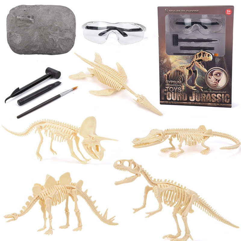 恐竜化石発掘キット STEM 恐竜骨格模型発掘おもちゃ 男の - Model Kit Dinosaur のレビューと価格