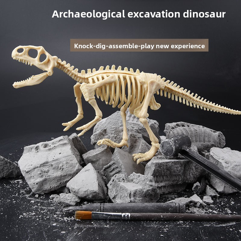 恐竜化石発掘キット STEM 恐竜骨格模型発掘おもちゃ 男の - Model Kit Dinosaur のレビューと価格